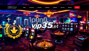 vip365 net